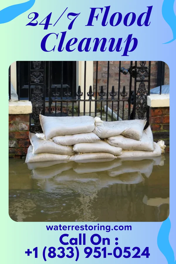 24/7 Flood Cleanup in Gautier, MS