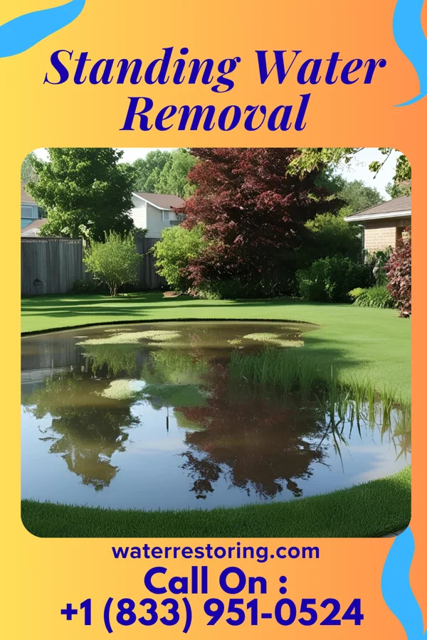 Standing Water Removal in Gautier, MS